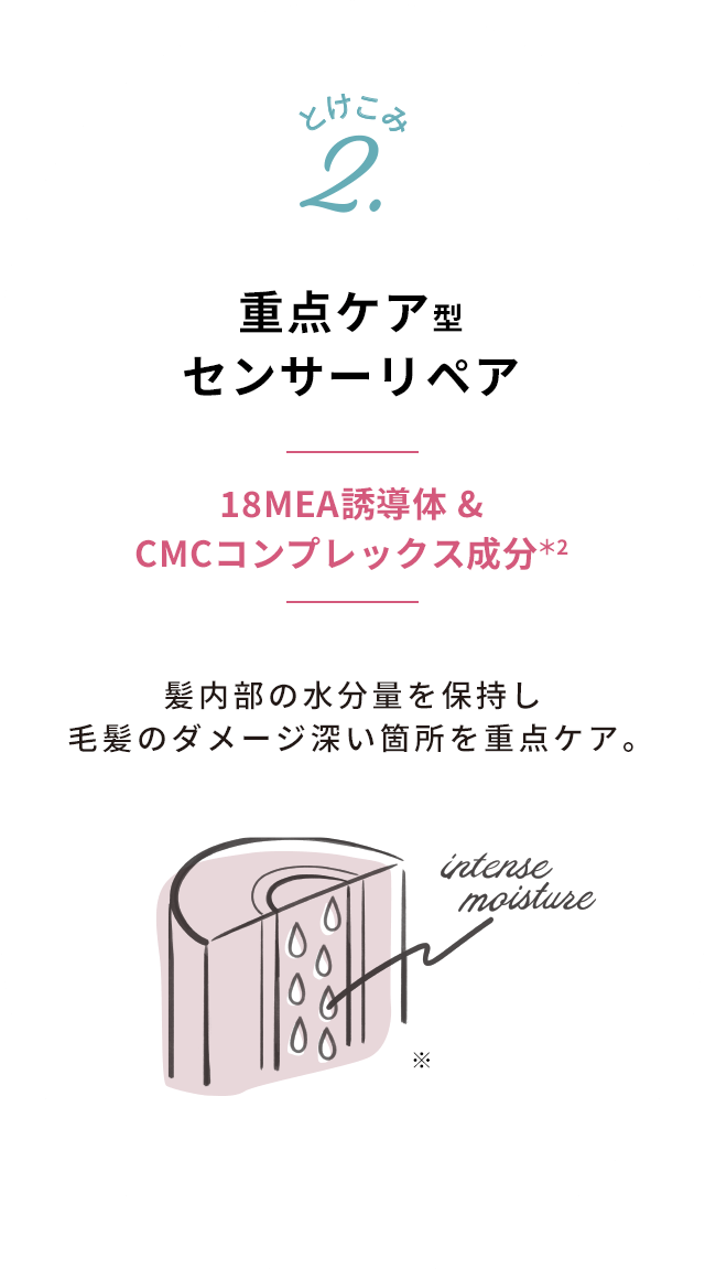 重点ケア型センサーリペア