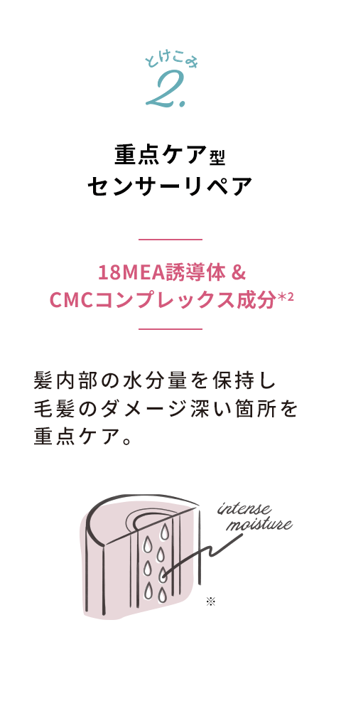 重点ケア型センサーリペア